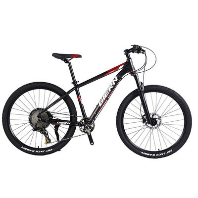 Bicicleta de montaña personalizada con Ltwoo A12 12s Gear 26/27.5/29 pulgadas