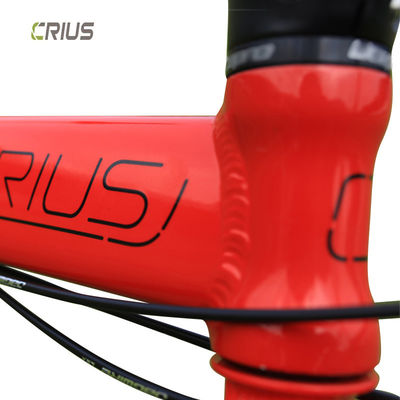 Bicicleta plegable de carreras ligera de 20 pulgadas 9 velocidad Master V con tenedor de aleación de aluminio