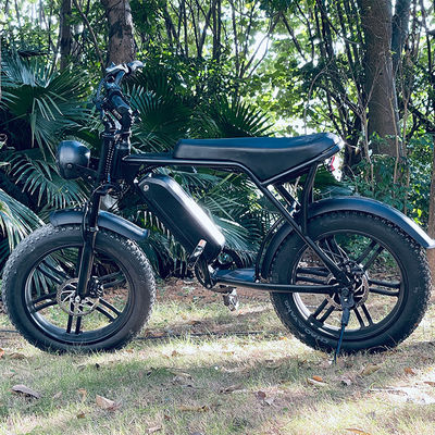 Potente 750W motor V8 de 20 pulgadas de neumático de grasa bicicleta de montaña eléctrica con batería de 48V 15ah
