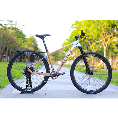 Rim de aleación de aluminio 24 velocidad 29 pulgadas bicicleta de montaña de carbono para aventuras de montaña