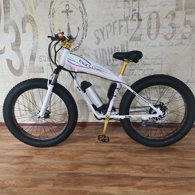 Bicicleta eléctrica de potencia de 48V 500W para ejercicio de equilibrio y aventuras de bicicletas retro vintage