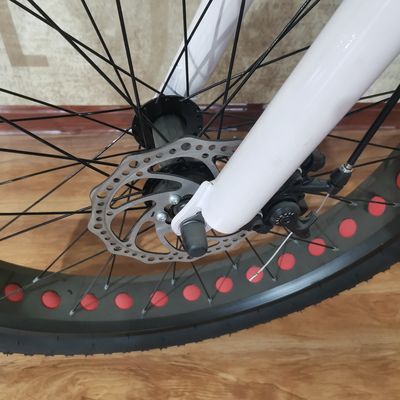Bicicleta eléctrica de potencia de 48V 500W para ejercicio de equilibrio y aventuras de bicicletas retro vintage