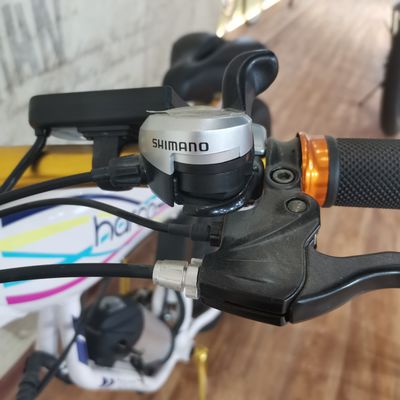 Bicicleta eléctrica de potencia de 48V 500W para ejercicio de equilibrio y aventuras de bicicletas retro vintage