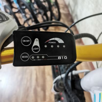 Bicicleta eléctrica de potencia de 48V 500W para ejercicio de equilibrio y aventuras de bicicletas retro vintage