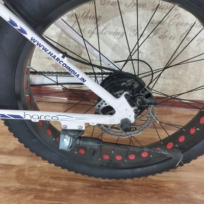 Bicicleta eléctrica de potencia de 48V 500W para ejercicio de equilibrio y aventuras de bicicletas retro vintage