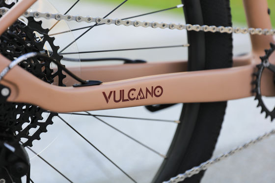 Rim de aleación de aluminio 24 velocidad 29 pulgadas bicicleta de montaña de carbono para aventuras de montaña