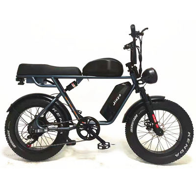 Aventura al aire libre 20*4.0 Kenda Fat Pneumático Doble Disco Freno Bicicleta de Montaña para Adolescentes