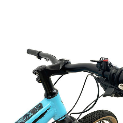 Caseta de aleación de 29 pulgadas bicicleta de montaña con freno de disco hidráulico y marco de aleación de aluminio