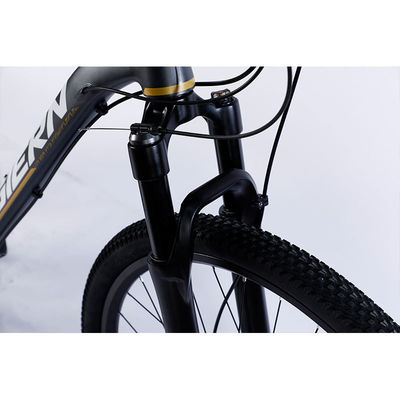Fabricación de bicicletas de montaña de 12 velocidades con doble borde y diseño clásico
