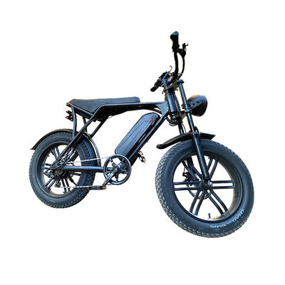 E-bicicleta eléctrica de playa de nieve con freno de doble disco y batería de litio