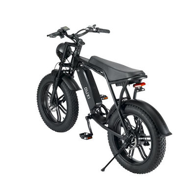 E-bicicleta eléctrica de playa de nieve con freno de doble disco y batería de litio