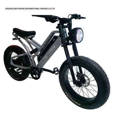 Bicicleta eléctrica de freno de disco mecánico 48v 500w Bicicleta eléctrica de motor 2 ruedas 20 pulgadas neumático de grasa