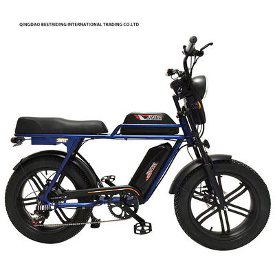 Freno de doble disco 48V 1000W Motor Ebike 20 pulgadas de neumático eléctrico de grasa Bicicleta con neumático Kenda