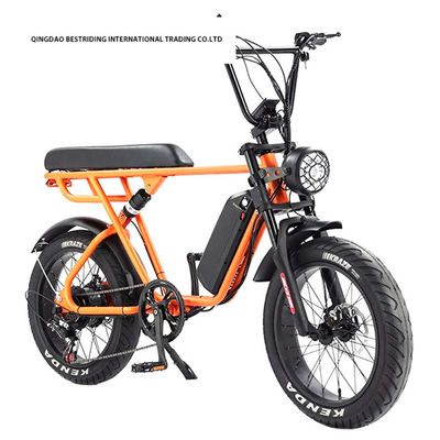 Freno de doble disco 48V 1000W Motor Ebike 20 pulgadas de neumático eléctrico de grasa Bicicleta con neumático Kenda