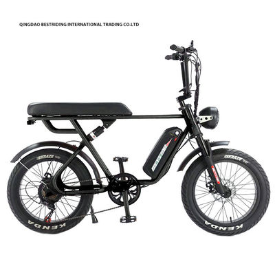 Freno de doble disco 48V 1000W Motor Ebike 20 pulgadas de neumático eléctrico de grasa Bicicleta con neumático Kenda