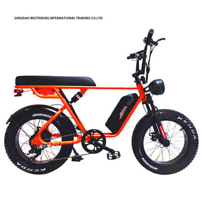 Freno de doble disco 48V 1000W Motor Ebike 20 pulgadas de neumático eléctrico de grasa Bicicleta con neumático Kenda