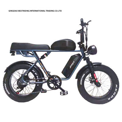 Freno de doble disco 48V 1000W Motor Ebike 20 pulgadas de neumático eléctrico de grasa Bicicleta con neumático Kenda