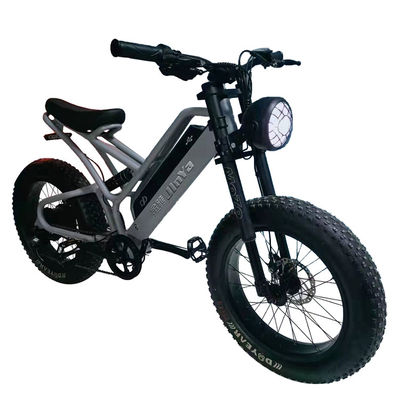 Pneus electrónicos de grasa Bicicleta eléctrica de 20 pulgadas Pneus de grasa 500w Ebike 48v con tipo inteligente