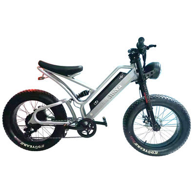Pneus electrónicos de grasa Bicicleta eléctrica de 20 pulgadas Pneus de grasa 500w Ebike 48v con tipo inteligente