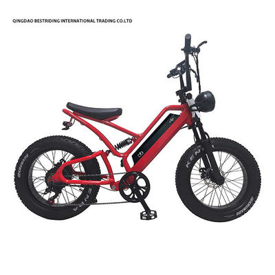 48V10Ah Batería de litio 5000w Bicicleta eléctrica para adultos 20 pulgadas de grasa de neumáticos ebike