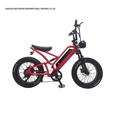 48V10Ah Batería de litio 5000w Bicicleta eléctrica para adultos 20 pulgadas de grasa de neumáticos ebike