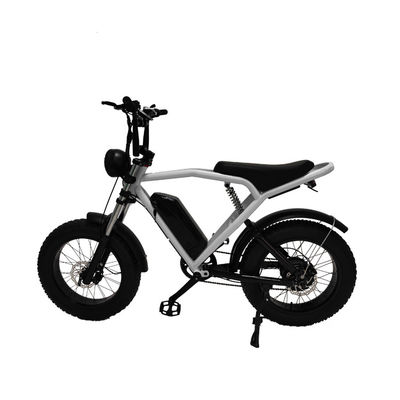 Motor del eje trasero 20*4,0' de neumático de grasa Bicicleta eléctrica E-Bike para el mercado