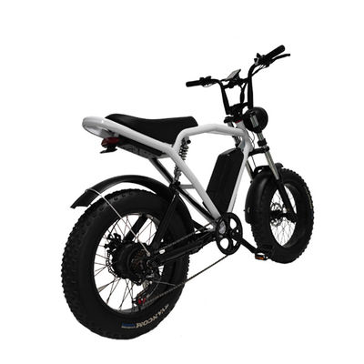 Motor del eje trasero 20*4,0' de neumático de grasa Bicicleta eléctrica E-Bike para el mercado