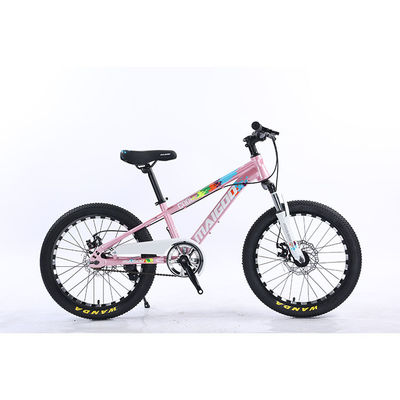 Bicicleta para niños de 20 pulgadas Bicicleta para niños de velocidad única Bicicleta con horquilla de suspensión de acero
