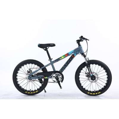 Bicicleta para niños de 20 pulgadas Bicicleta para niños de velocidad única Bicicleta con horquilla de suspensión de acero