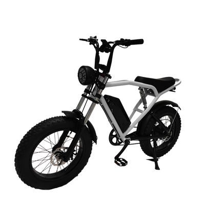 Bicicleta eléctrica de neumáticos Kenda para viajes emocionantes y envíos rápidos
