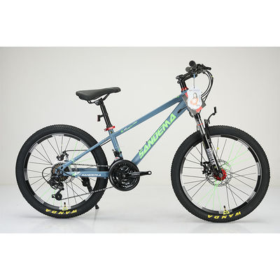 Marco de acero 20 pulgadas WANDA 20 * 2.125 neumáticos niños bicicleta para duradera 21 velocidades MTB