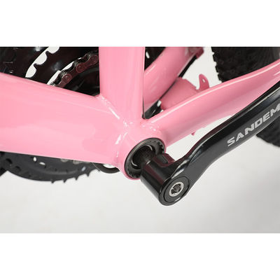 Marco de acero 20 pulgadas WANDA 20 * 2.125 neumáticos niños bicicleta para duradera 21 velocidades MTB