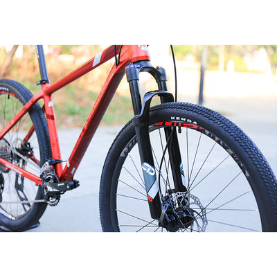 Bicicleta de ejercicios personalizada de 29 pulgadas con engranajes de 22 velocidades y soldaduras lisas