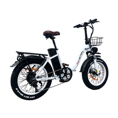 Neumático para bicicletas eléctricas EU Warehouse Neumático personalizado con capacidad de batería 10AH/15AH 21700 50E