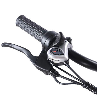 Frente 24 trasero 20 neumáticos de nieve Triciclo eléctrico con SHIMANO trasero de 7 velocidades y batería 48V15A