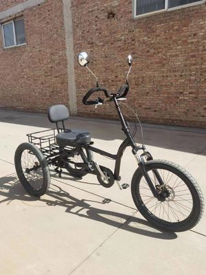 Trikes motorizados con pedal de aluminio para adultos Triciclos de carga eléctricos de diseño popular