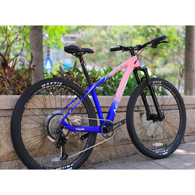 Bicicleta de montaña de descenso de 12 velocidades con Sunshine 11-50T Cassette y tenedor de aleación de aluminio