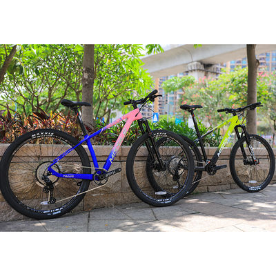 Bicicleta de montaña de suspensión doble de 29 pulgadas con neumáticos Maxxis y PROWHEEL PMX 36T