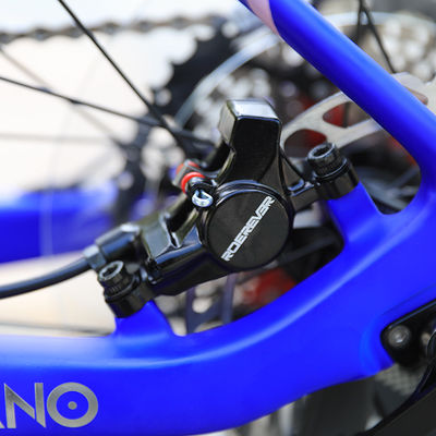 Bicicleta de montaña de suspensión doble de 29 pulgadas con neumáticos Maxxis y PROWHEEL PMX 36T