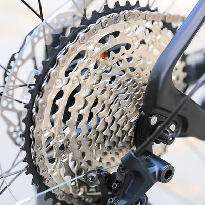 Sunshine 11-50T 12 velocidad HG Cassette bicicleta de montaña 29 pulgadas 24 velocidad para adultos