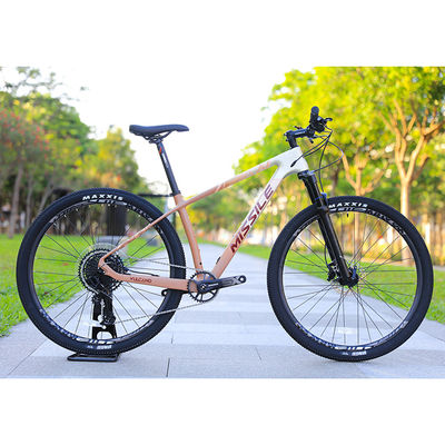 Bicicleta de montaña de aleación de freno de disco hidráulico con ruedas grandes de 29 pulgadas y pastilla de freno de 160 mm