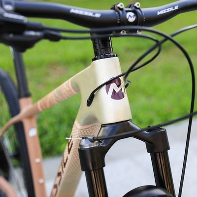 Tenedor de aleación de aluminio 29 pulgadas de bicicleta de montaña con freno de disco hidráulico y suspensión delantera