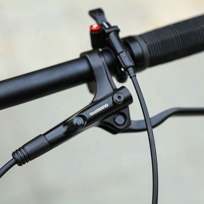 29 pulgadas de soporte OEM bicicleta de montaña con YBN S12S cadena 12 velocidad MTB 2022 marco duro