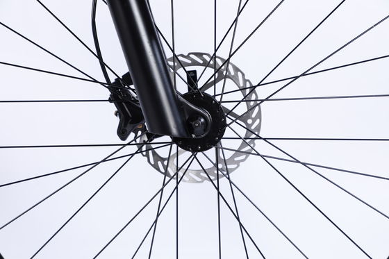 Rueda delantera y trasera freno de disco bicicleta de montaña 26/27.5/29 pulgadas con rueda de cadena hueca 13s