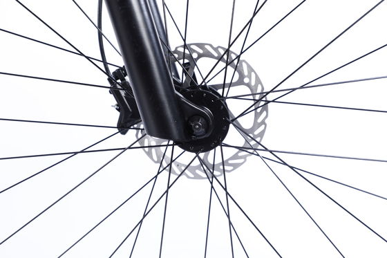 Bicicleta de montaña personalizada con Ltwoo A12 12s Gear 26/27.5/29 pulgadas