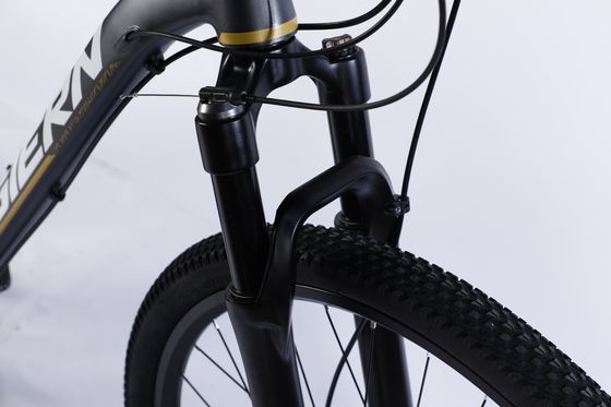 Bicicleta de montaña personalizada con Ltwoo A12 12s Gear 26/27.5/29 pulgadas