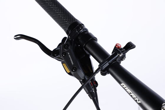 Bicicleta de montaña personalizada con Ltwoo A12 12s Gear 26/27.5/29 pulgadas