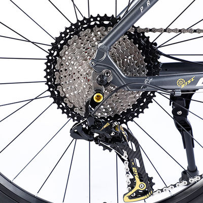 Bicicleta de montaña personalizada con Ltwoo A12 12s Gear 26/27.5/29 pulgadas