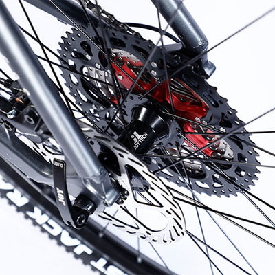 Bicicleta de montaña personalizada con Ltwoo A12 12s Gear 26/27.5/29 pulgadas