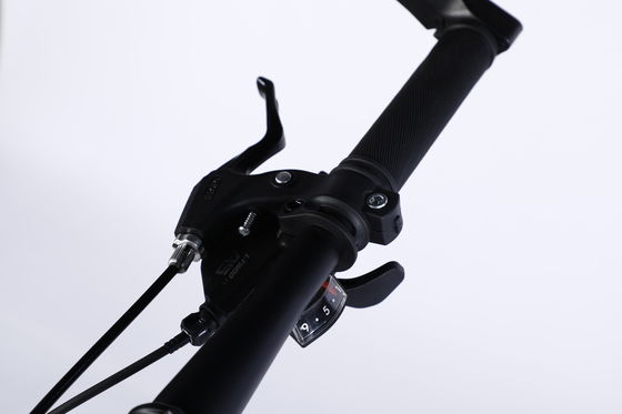 Pedal ordinario de 26 pulgadas bicicleta de montaña equipada con Ltwoo A11 11s engranaje y acero de carbono
